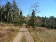 secluded_trail