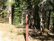 trail_sign_1