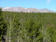 view_from_the_champion_mill_part_1