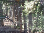 trail_sign
