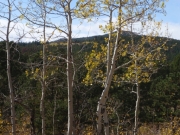 aspens_part_1