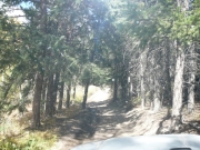 narrow_section