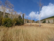 view_part_1