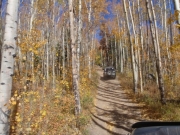walt_on_the_trail_part_3