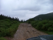 crossing_some_buried_logs