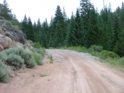 early_trail