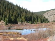 beaver_ponds