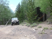 bill_on_the_trail