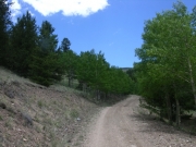 early_trail