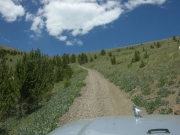 emerging_above_treeline