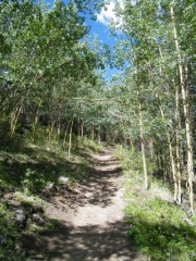 aspen_hike