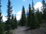 blue_sky