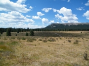 bluff