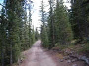 early_mellow_trail