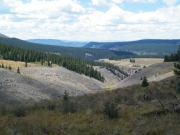 gulch