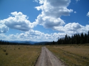 long_track