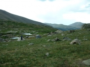 people_camping