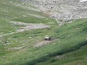 cabin