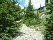 magnolia_mill_part_1