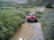 monica_in_a_puddle