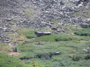 cabin_part_1