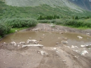 biggest_mud_puddle