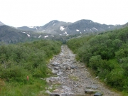 trail_with_a_view
