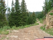 curvy_trail