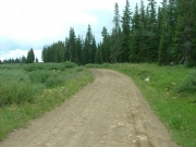 mellow_trail