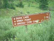 sign_to_other_trails