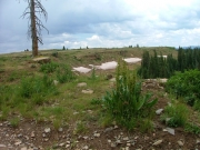 snow_in_july