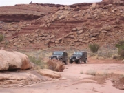 jeeps