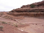 tippy_trail