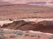 trail_in_the_distance