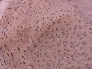 weathered_rock