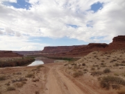 down_to_potato_bottom