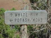 intersection_with_shafer_trail