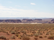 needles_in_the_distance