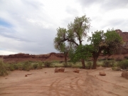 potato_bottom_campground