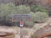 upheaval_canyon_trail_sign