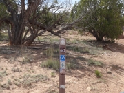blm_sign