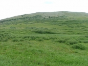 green_view_from_the_pass