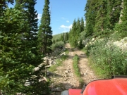 little-used_trail