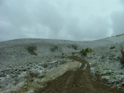 clear_trail