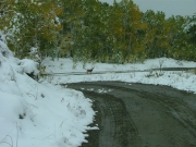 deer_part_1