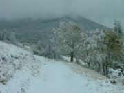 looks_like_winter