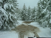 puddle_part_1