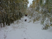regina_part_2
