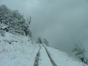 shelf_road_part_3