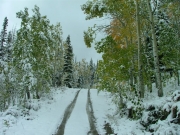 tracks_in_the_snow
